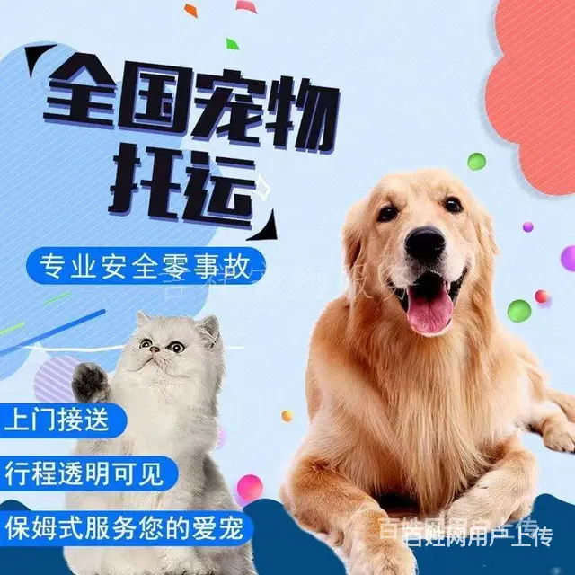 推荐） 丹东宠物托运到全国）（猫狗）邮寄快递（宠物活体运输） - 图片 3