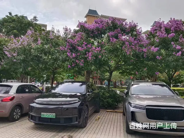 （51旺铺推荐）美丽沙临街铺面280平二楼出租 - 图片 5