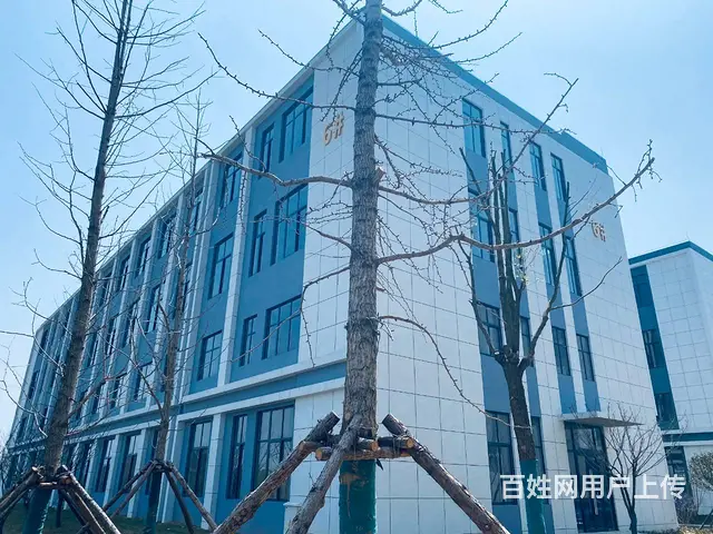 800-10000平独栋双拼框架标准厂房50年产权工业园园区 - 图片 3