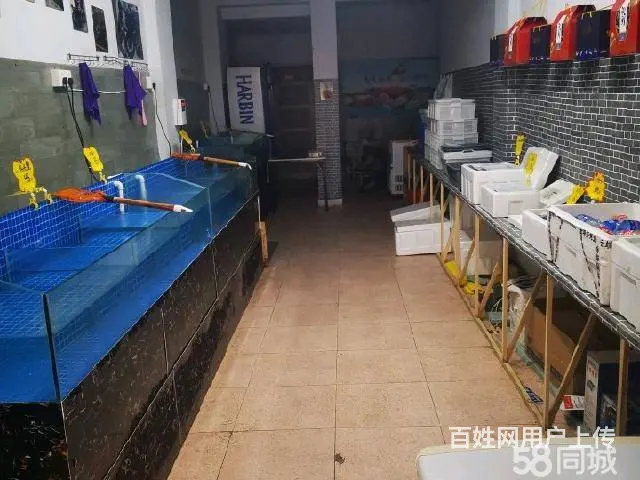 急转！锦州市古塔区西安街水产批发市场-北门76平水产店 - 图片 2
