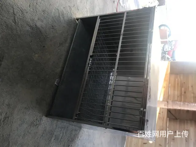 【搞定了！】信鸽配对隆 - 图片 1