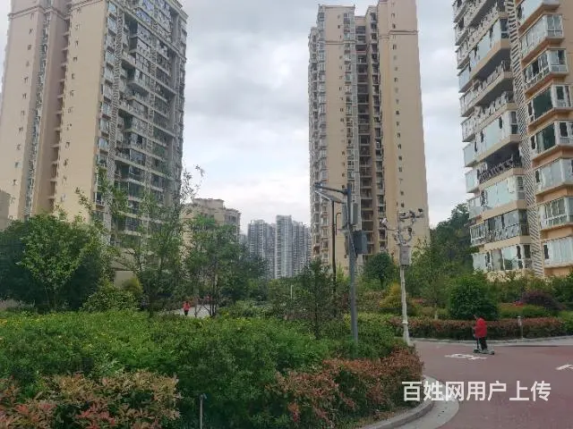 龙城国际快递店转让 - 图片 5