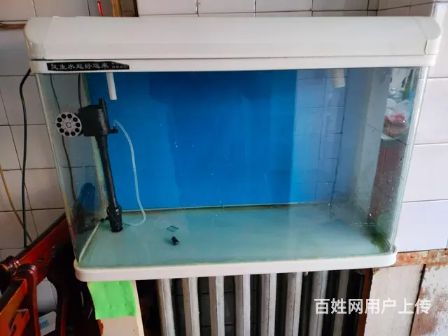 【搞定了！】水族箱 - 图片