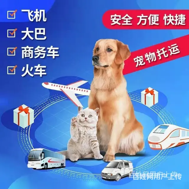 开封兰考托运宠物 （猫狗活体运输）快递至全国各地 - 图片 2