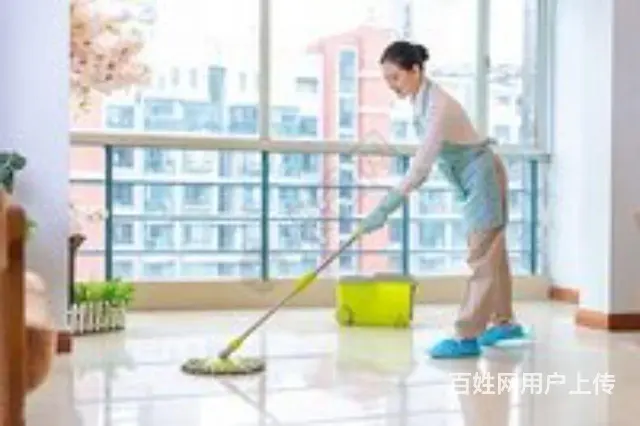 邵阳鸿祥专业保洁公司 - 图片 4