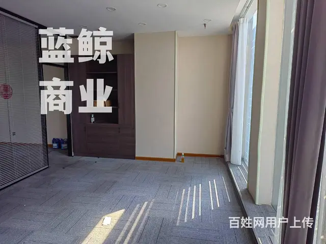 绿地商务城蓝海office纯写字楼，楼层好，边户采光，多隔间 - 图片 4