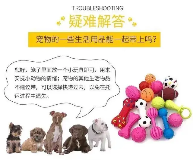 丽水松阳宠物托运 （猫狗活体运输）宠物快递至全国 - 图片 1