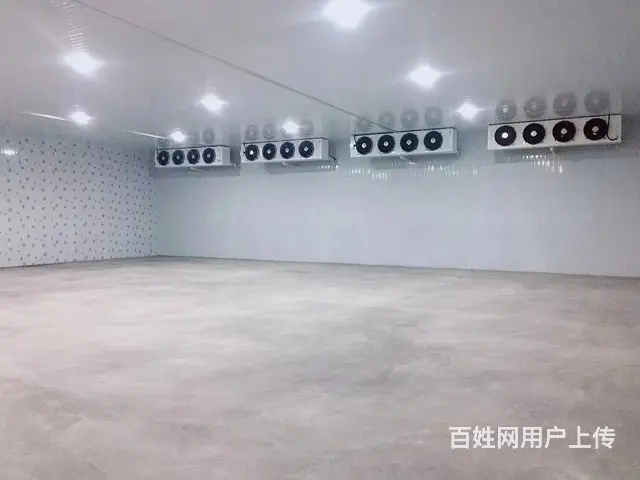 （老板本人）长沙县黄花机场附近全新建冷冻库优价招租，可分租 - 图片 12
