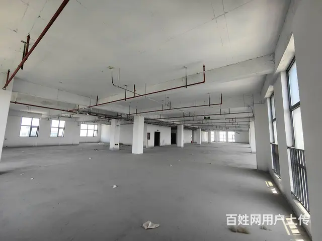 金龙湖旁软件园150到1000平纯办公一手现房 - 图片 7