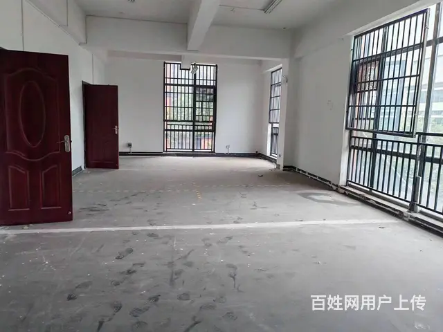 （老板本人）开福区卓尔产业园独栋厂房仓库房东出租，可出售 - 图片 6