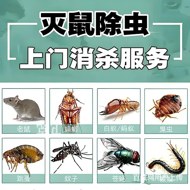 家政服务 - 图片 11