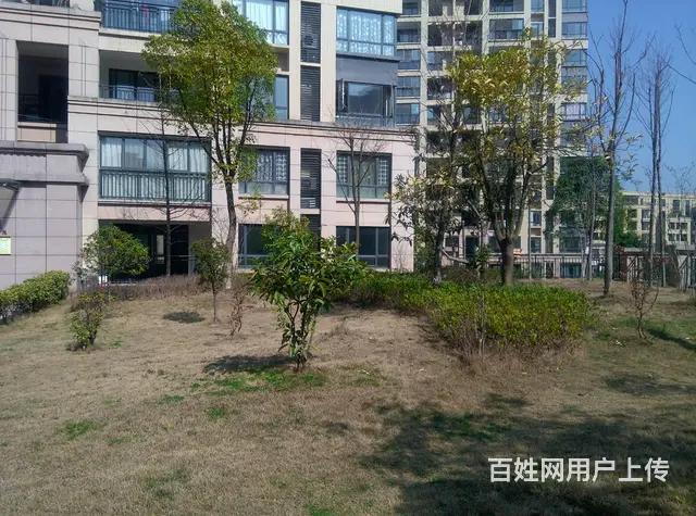 上上城二期 新房4室2厅 1楼毛坯 - 图片 1