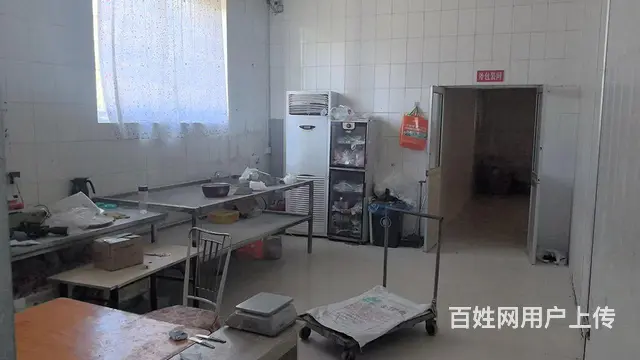 （新房源）羊亭独门独院框架厂房招租可合作合租转让有食品证冷库 - 图片 6