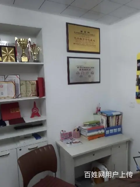 沈阳教成年人速成学古筝培训 - 图片 5