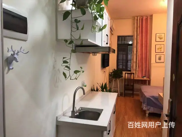 电梯房先锋路电脑城附近1室配套精装修带家具家电月租990 - 图片 6