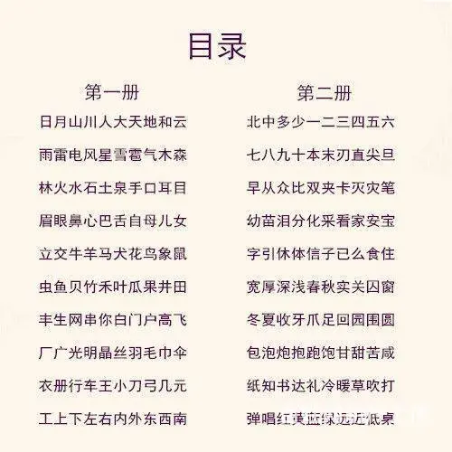 乐乐多教育象形识字幼儿入启蒙教育书籍看图学汉字图书 - 图片 4