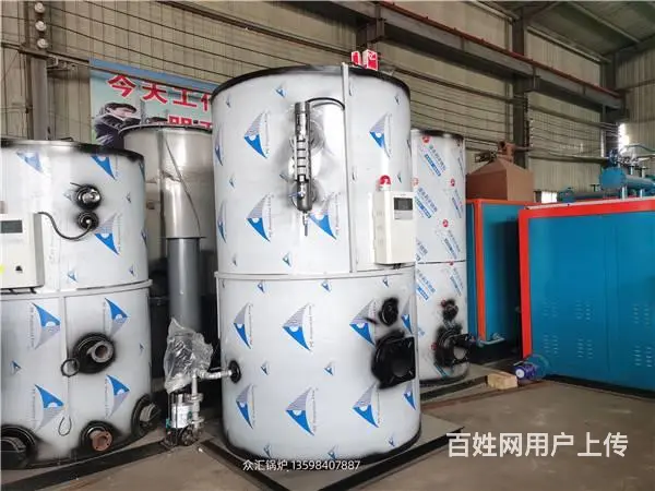 新疆生物质蒸汽发生器 小型蒸汽锅炉 免报检蒸汽锅炉 - 图片 4