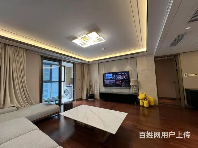 海珀滨江，带梯控，隐私性较好，绿地缤纷城，万象城边 - 图片 3