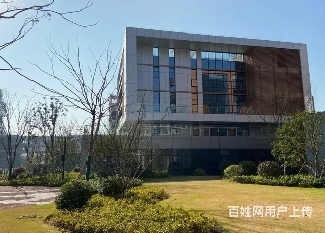 政务区独栋 通燃气 没有公摊 赠送顶层双露台 - 图片 5