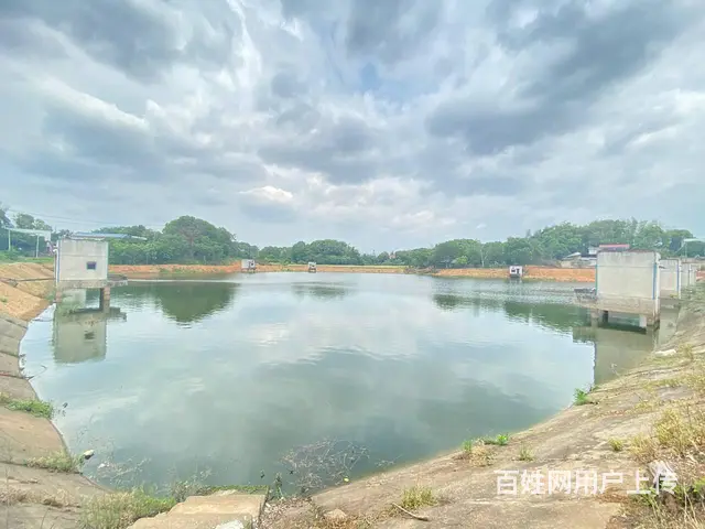 (房东直租)秋江线旁30亩鱼塘，带15亩房屋场地出租，可分租 - 图片 3