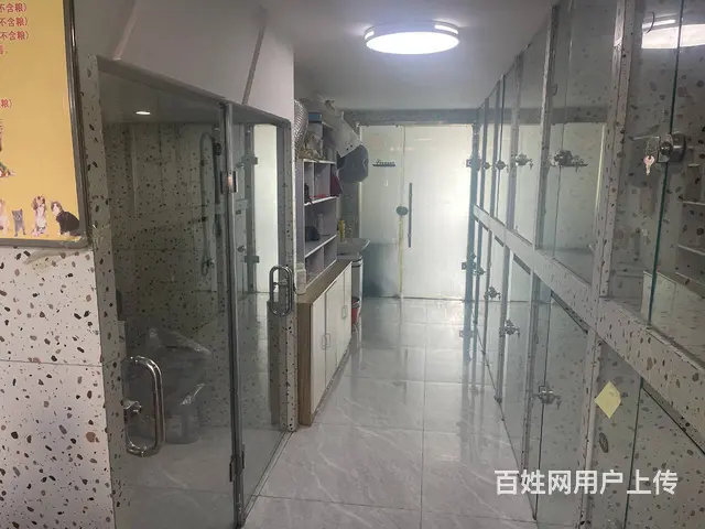 BP个人 城北萨尔斯堡三期有家宠物店转让 - 图片 7