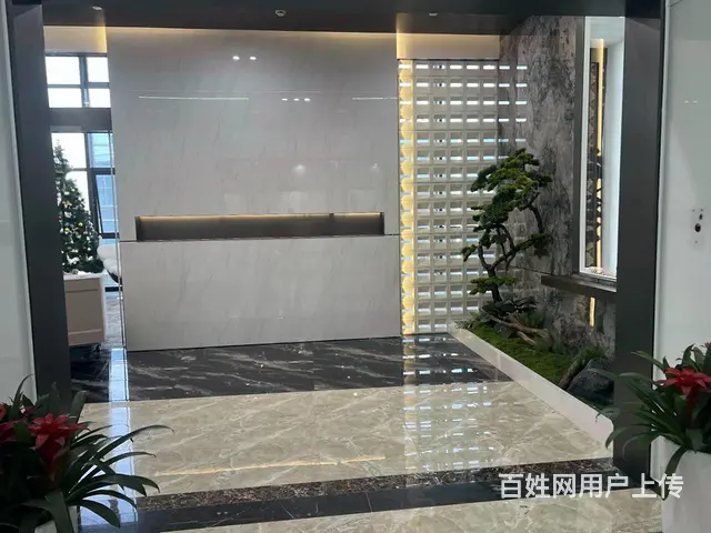 星耀城 地铁口 豪华装修带家具 直播接待办公拎包入住 - 图片 2