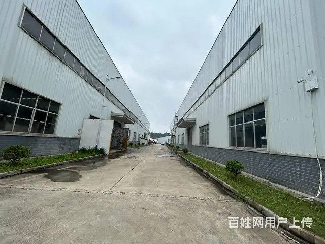 （老板本人）长沙县江背镇标准园区厂房仓库招租6666 - 图片 12