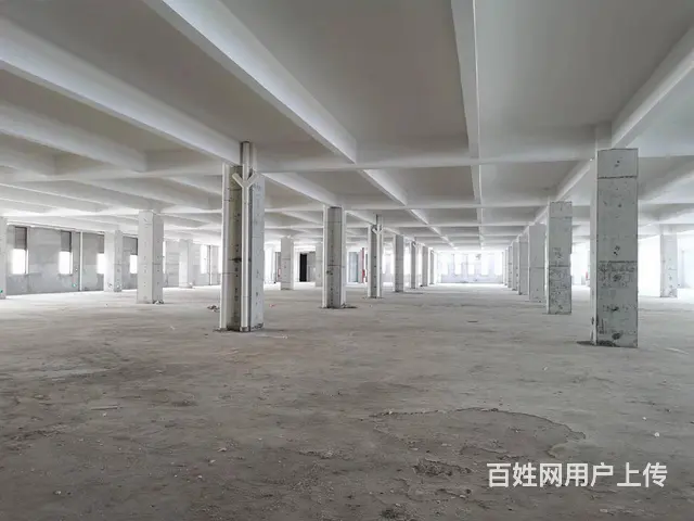 白蕉开发区（可分租）10万方 红本厂房 产业园 近高速 港口 - 图片 6