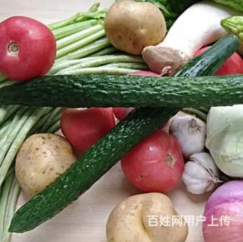 厦门地区生鲜蔬菜大小工厂企业单位食材配送上门 - 图片 3