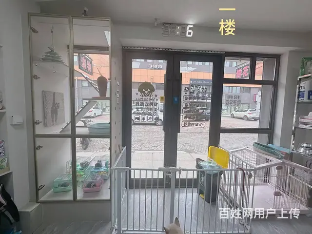 宠物店出兑 店铺转让 - 图片 2