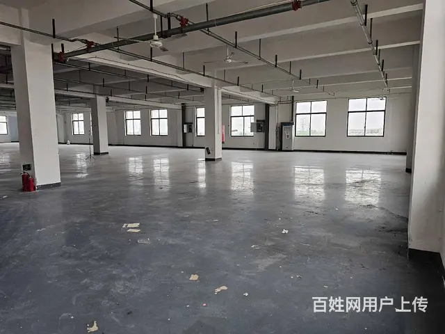 常昆全新厂房3600平，全新环氧地面，可分租，有消防喷淋。 - 图片 3