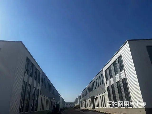 厂房出售  钢结构框架结构均有800平起卖 - 图片 5