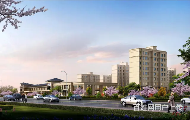 海世界 精装修一线海景房，赶海拾贝养老投资 - 图片 7