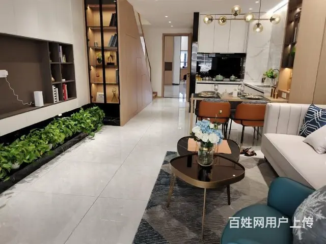 淹城对面新出复式公寓南北通透民用水电送大阳台准现房 - 图片 4
