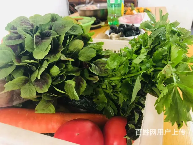 紫蓬山大锅灶做饭，紫蓬山大锅灶团建人均低至60 - 图片 7