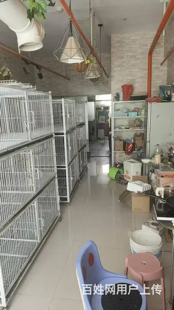 门头鲜艳无遮拦 临近小区 人流量大 生意好做 - 图片 6