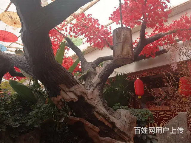 营业中占地9610平米大型生态餐饮整体对外委托拍卖 - 图片 6