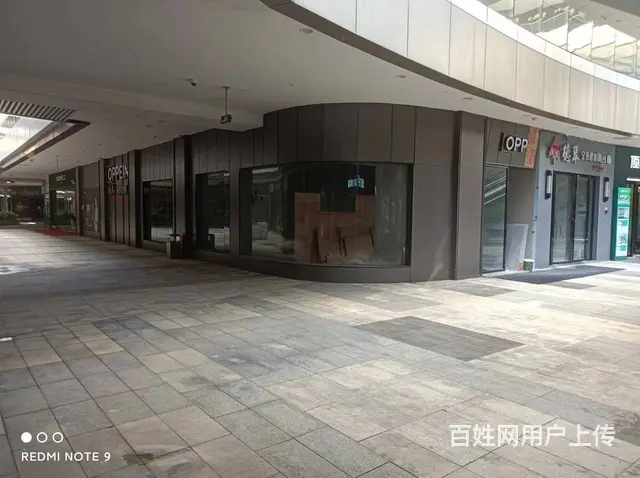 （51旺铺推荐）椰海大道喜盈门56平旺铺招租 - 图片 5
