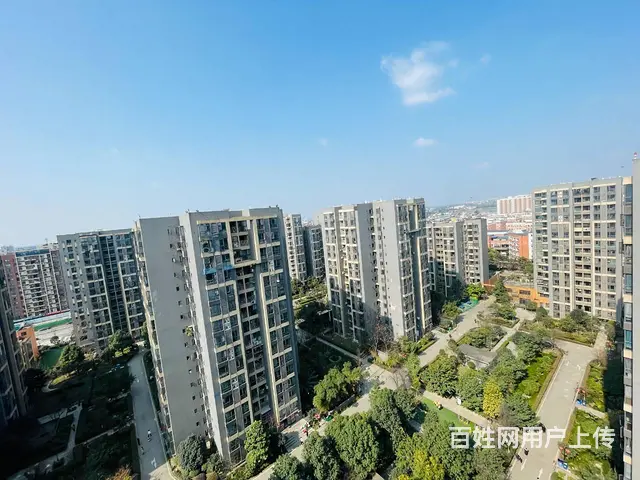 温哥华花园6期(双流) 普通住宅 精装修 满二唯一 带车位 - 图片 12