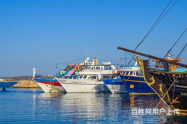 苏州金桥翻译社公司提供印度护照驾照翻译 - 图片