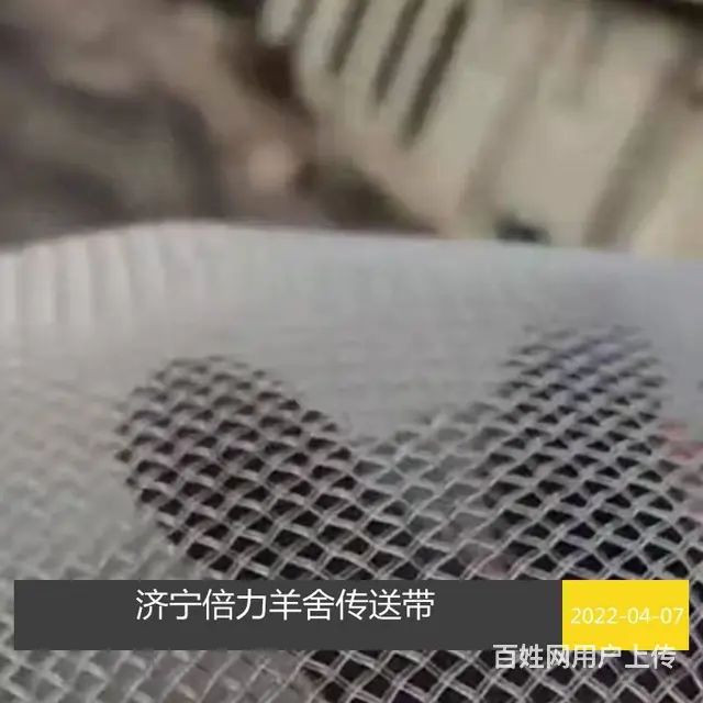 山东羊舍传送带羊用网带厂家 - 图片