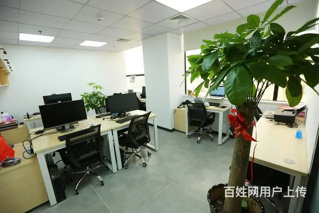 科韵路丶性价比共享办公室丨2一8人户型任选 - 图片 11