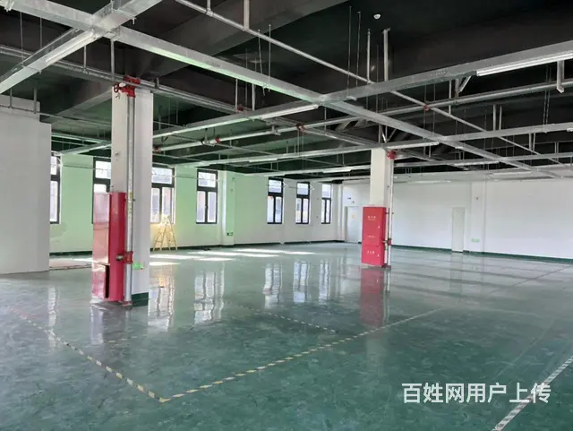 陆家原房东，一楼400平二楼400平，丙类消防，3吨货梯 - 图片 9