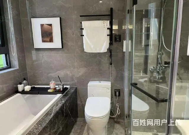 D铁口天宁红梅主芯保利天珺洋墅双公园火车站精装均26000起 - 图片 3