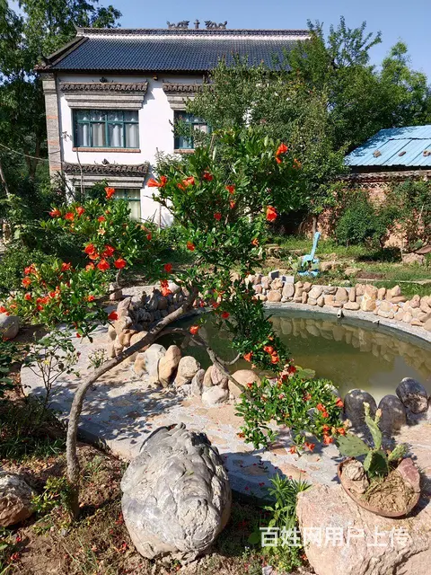 小院招租 - 图片 1