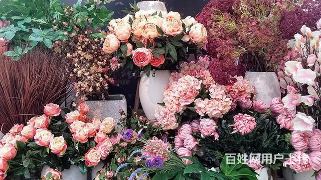 张家港上海苏州有责任的翻译公司金桥 - 图片
