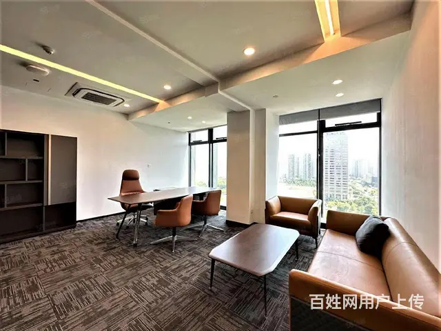 滨江明豪大厦 一线江景 UDC寰宇旁 豪华装修 办公接待 - 图片 4