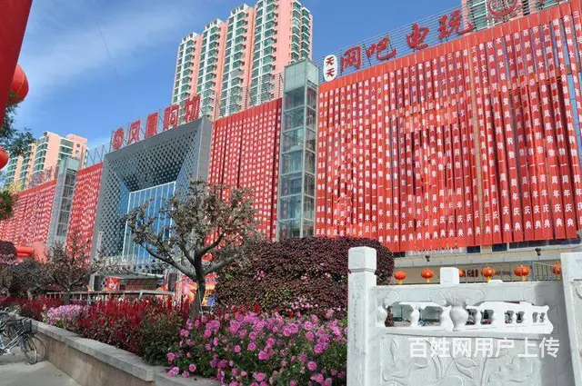 条幅锦旗绶带牌匾彩页画册哈立军品牌设计制作 - 图片 3