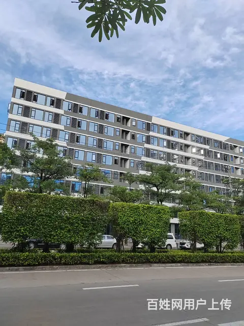海南乐东九所七里海岸公寓2房2厅精装修家电1800租 - 图片 10
