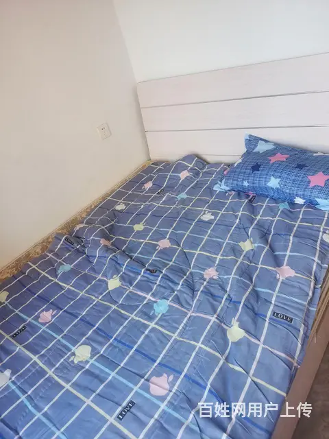 自己家用的双人床沙发出售 - 图片 5